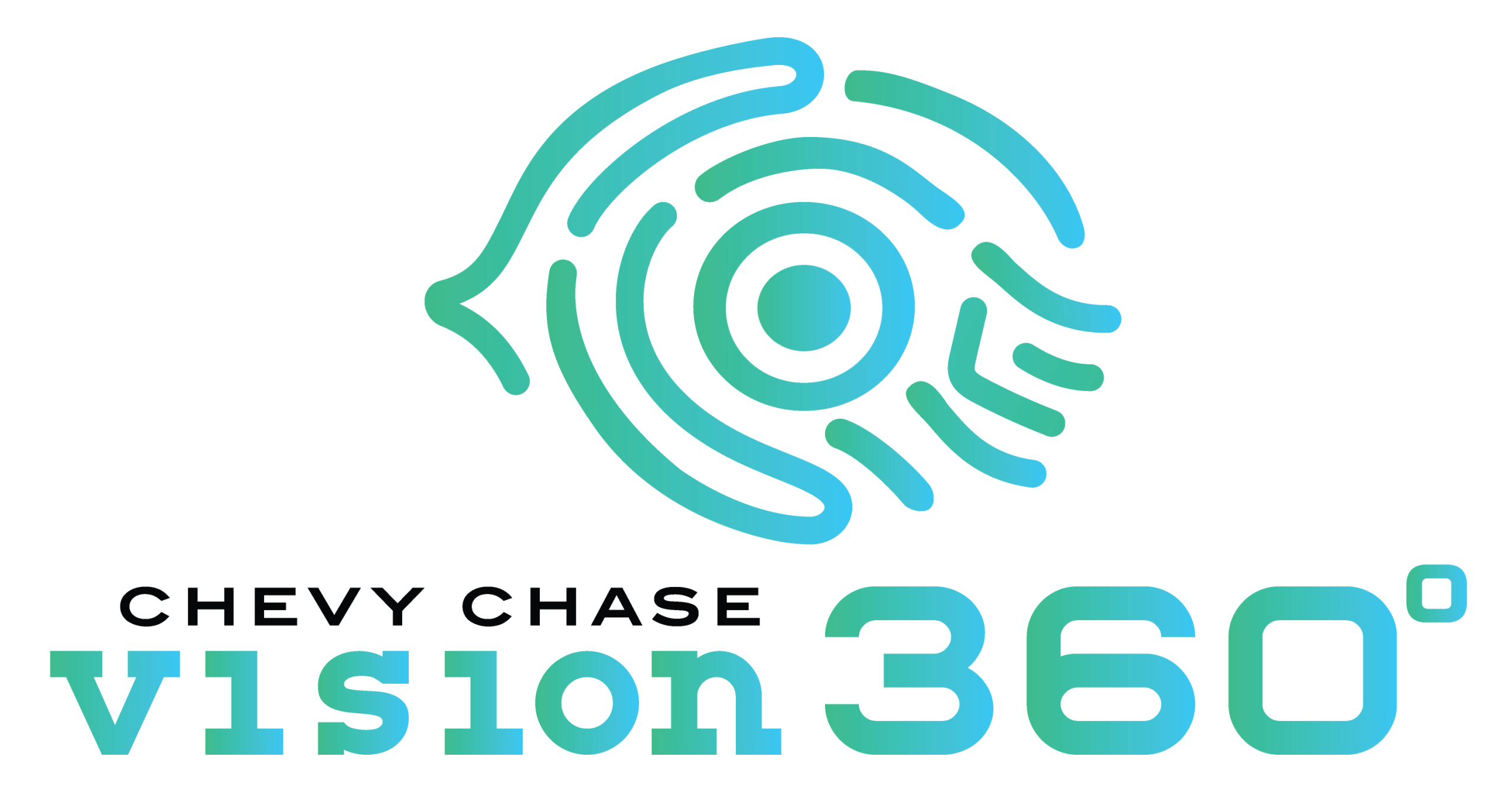 Vision 360